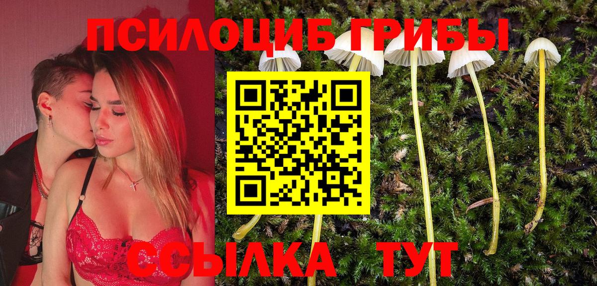 Псилоцибиновые грибы GOLDEN TEACHER  Псилоцибиновые грибы Psilocybe  Красногорск  Вход с VPN 